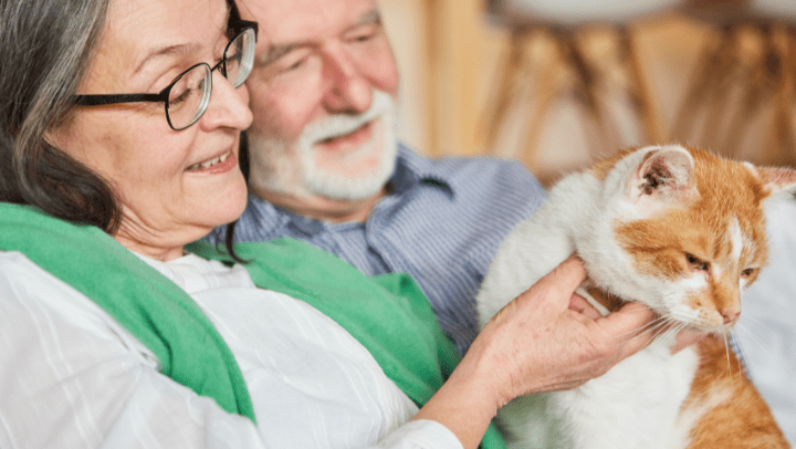 an elderly couple caressing their cat