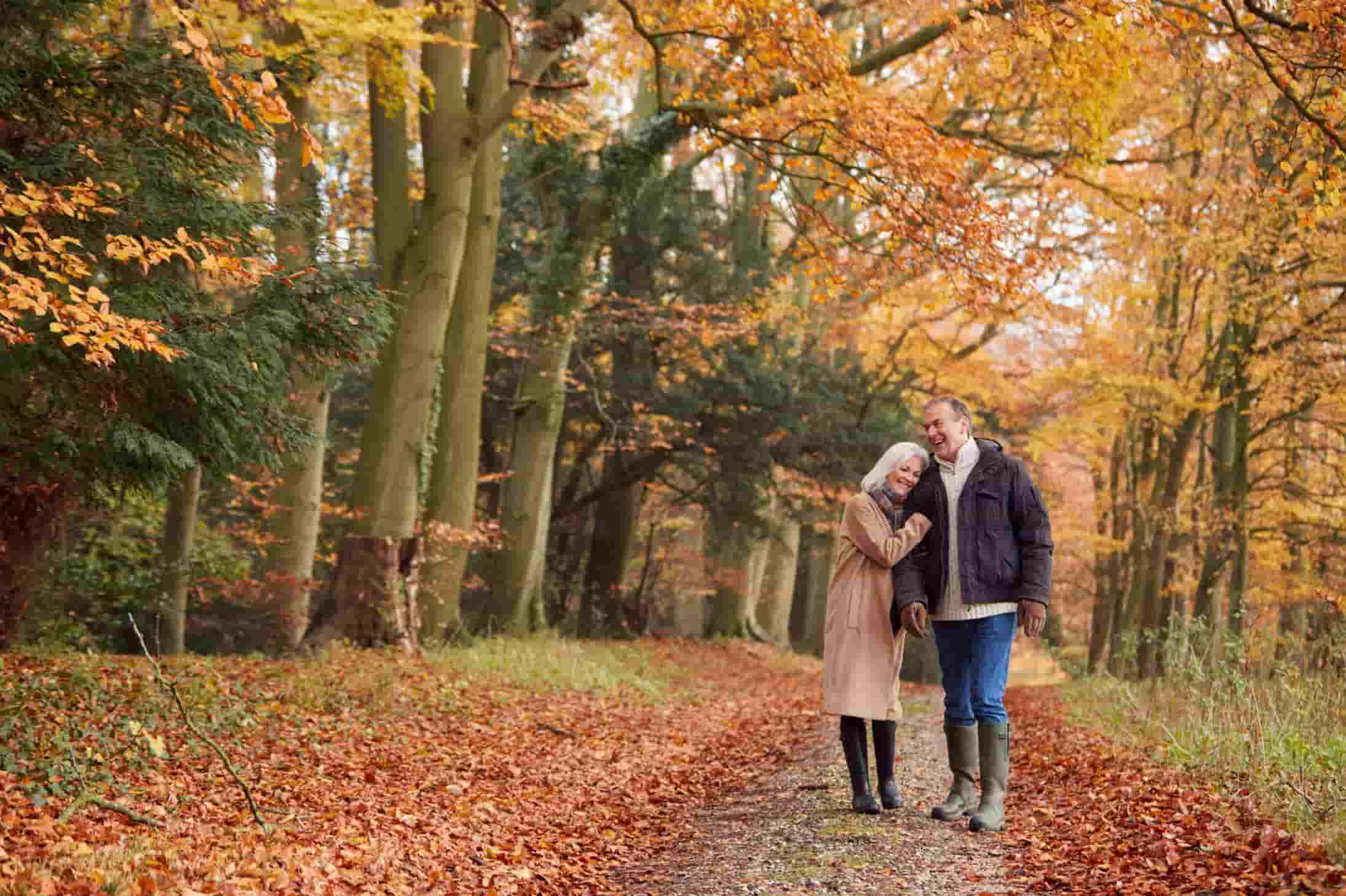Fun Fall Activities For Seniors Heritage Senior Living