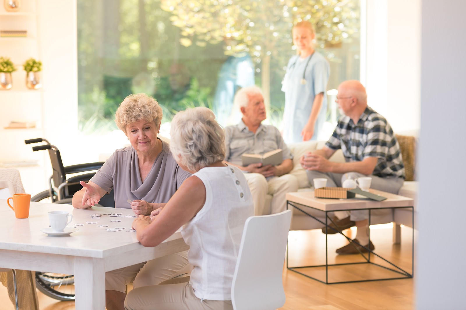 Group of seniors socializing in an assisted living facility