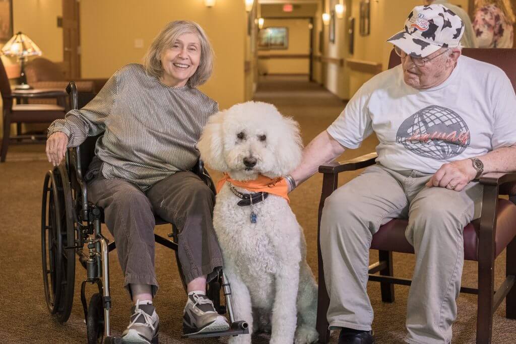 Mid-Pet-Therapy-1024x683