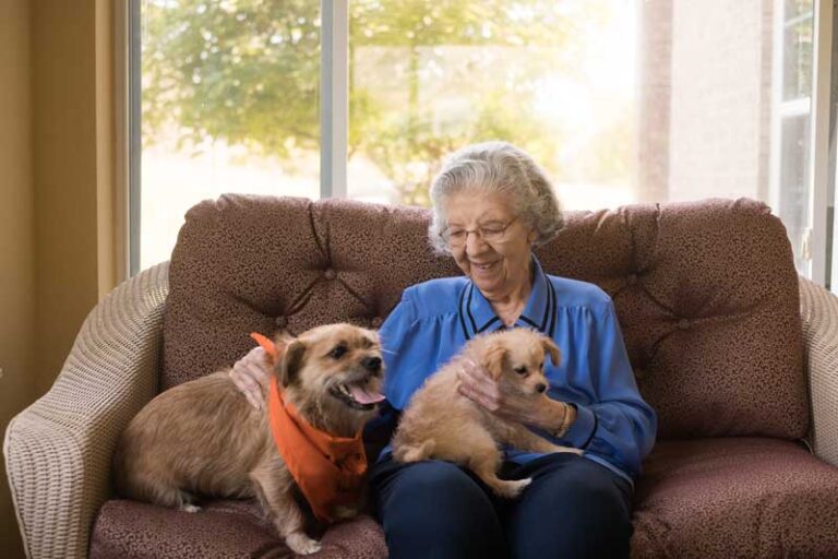 DC-Horizontal-Woman-Two-Dogs