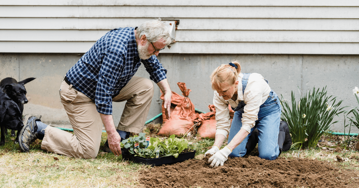 a senior copule gardening