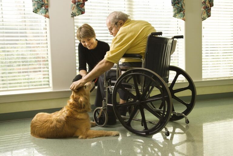 Pet therapy being used as a way to support mental health for aging adults.