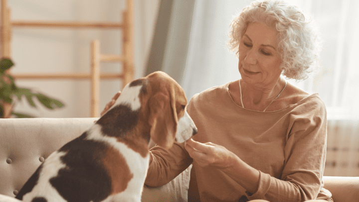 a senior lady feeding her dog 
