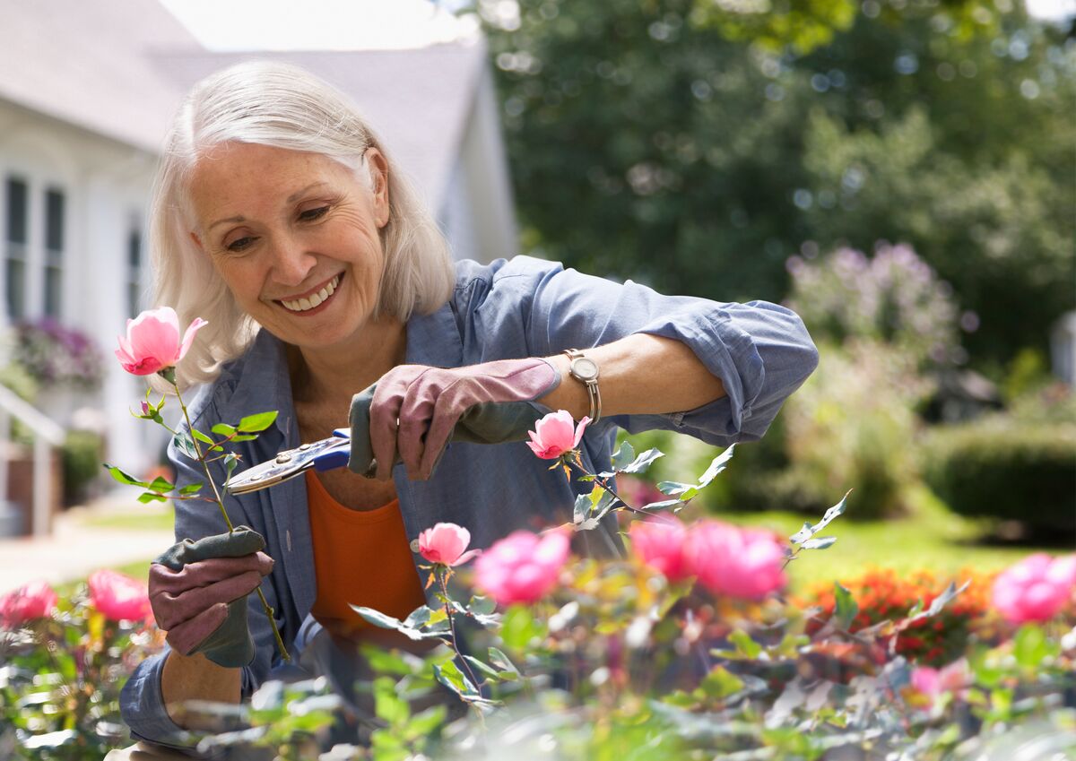 senior woman gardening